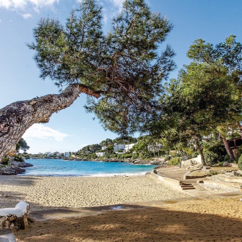 Sanstrand auf Mallorca mit kristallklarem Wasser und Restaurants